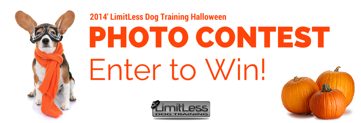 2014' LimitLess Dog Training Halloween