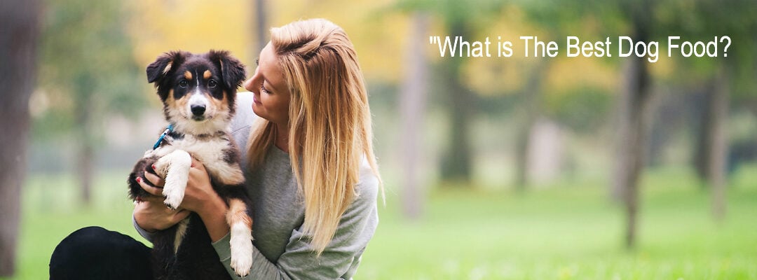 What is The Best Dog Food?