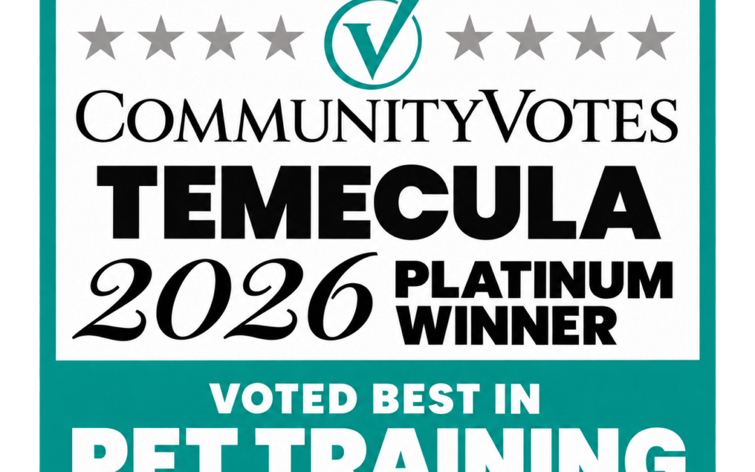 LimitLess Dog Training Wins Platinum in CommunityVotes Temecula 2026