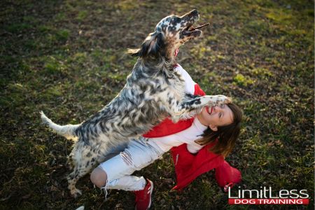 Jumping on People. While jumping might seem like a way for dogs to show excitement, it can be intimidating for guests and dangerous for children.