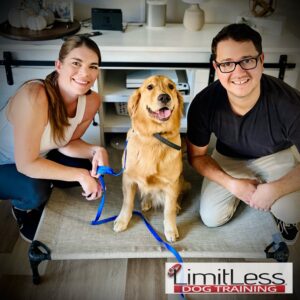 Bingo, Golden Retriever and His Family after his 21 Day Start Camp. Board and Train.