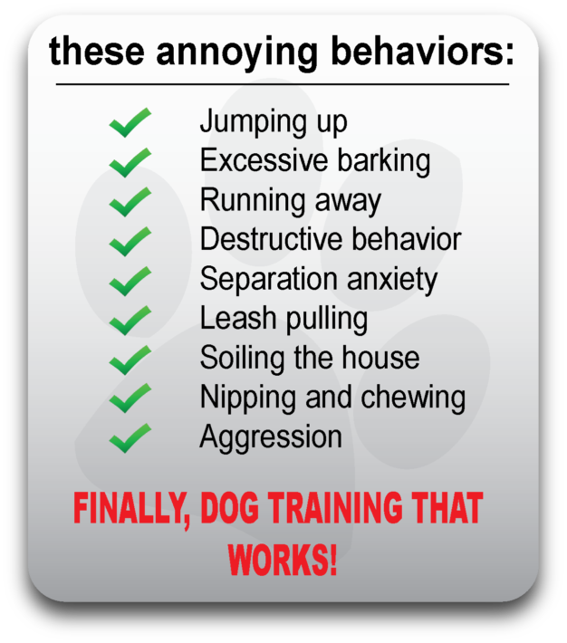 Finally Dog Training That Works